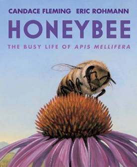 Honeybee
